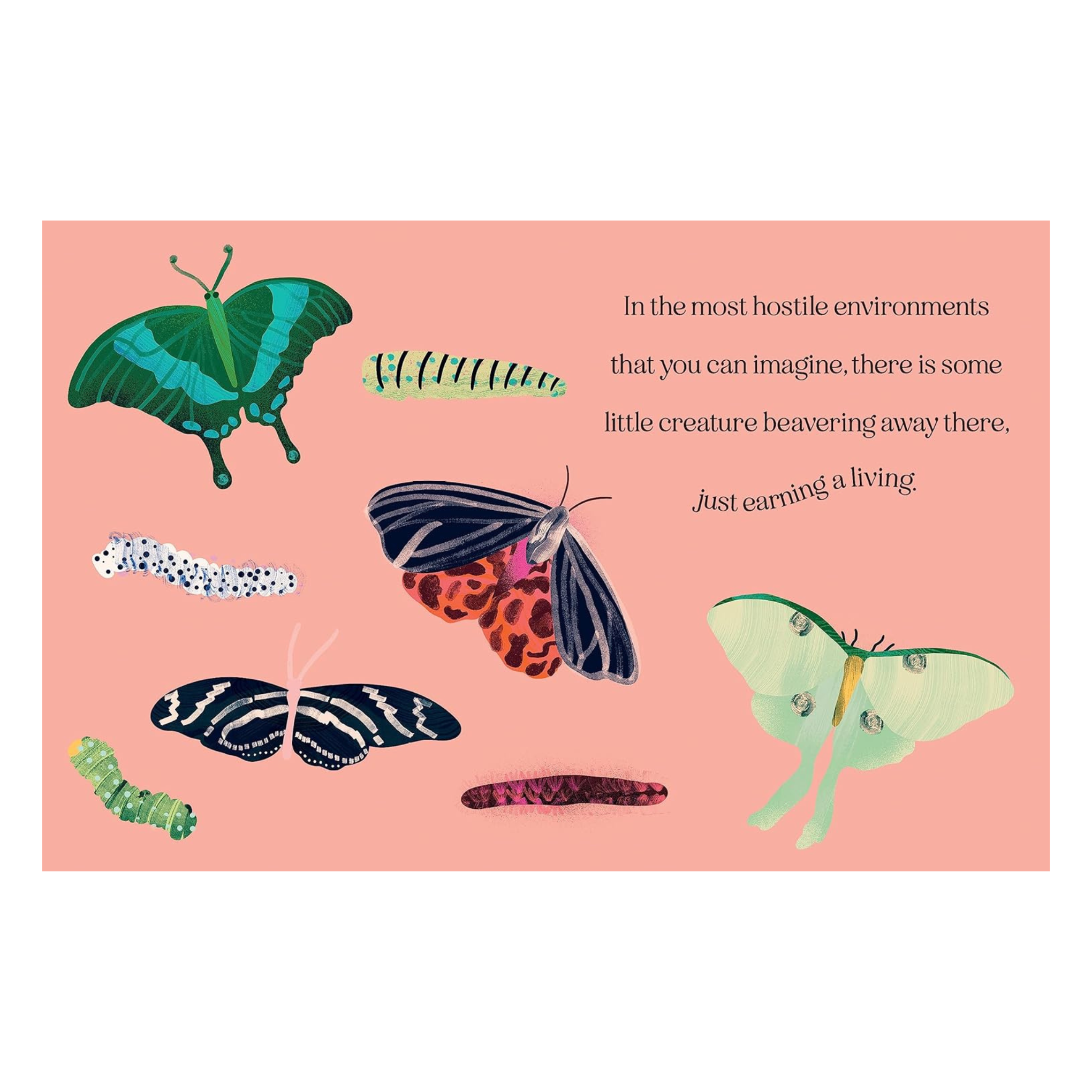 Wise Words From David Attenborough